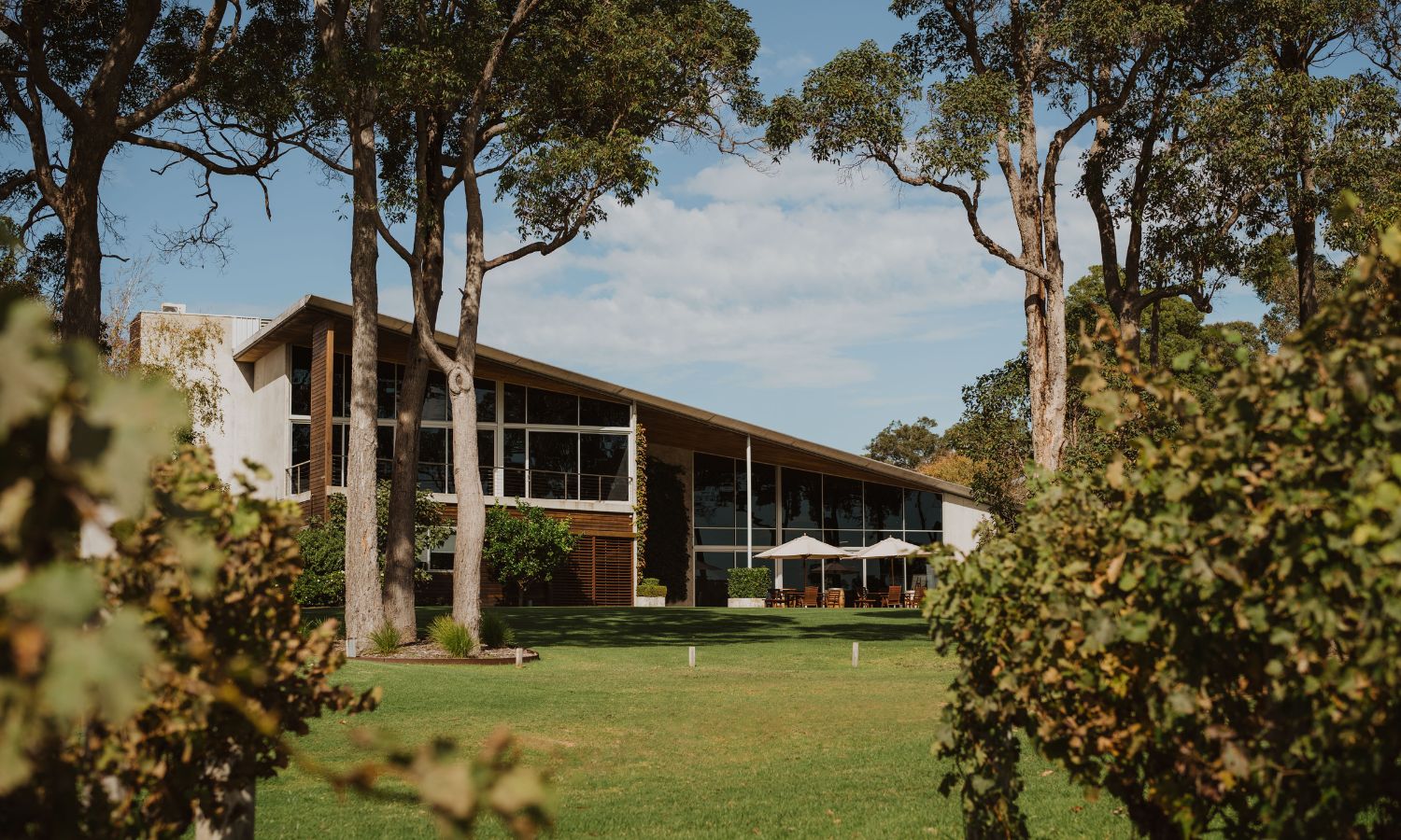 best wineries margaret river