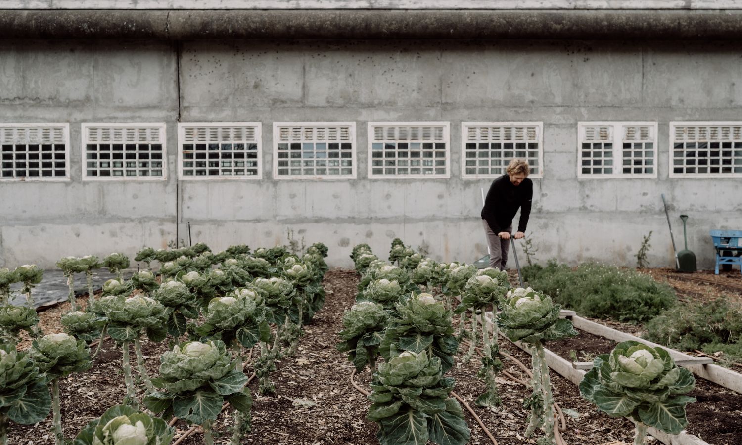 The Agrarian Kitchen