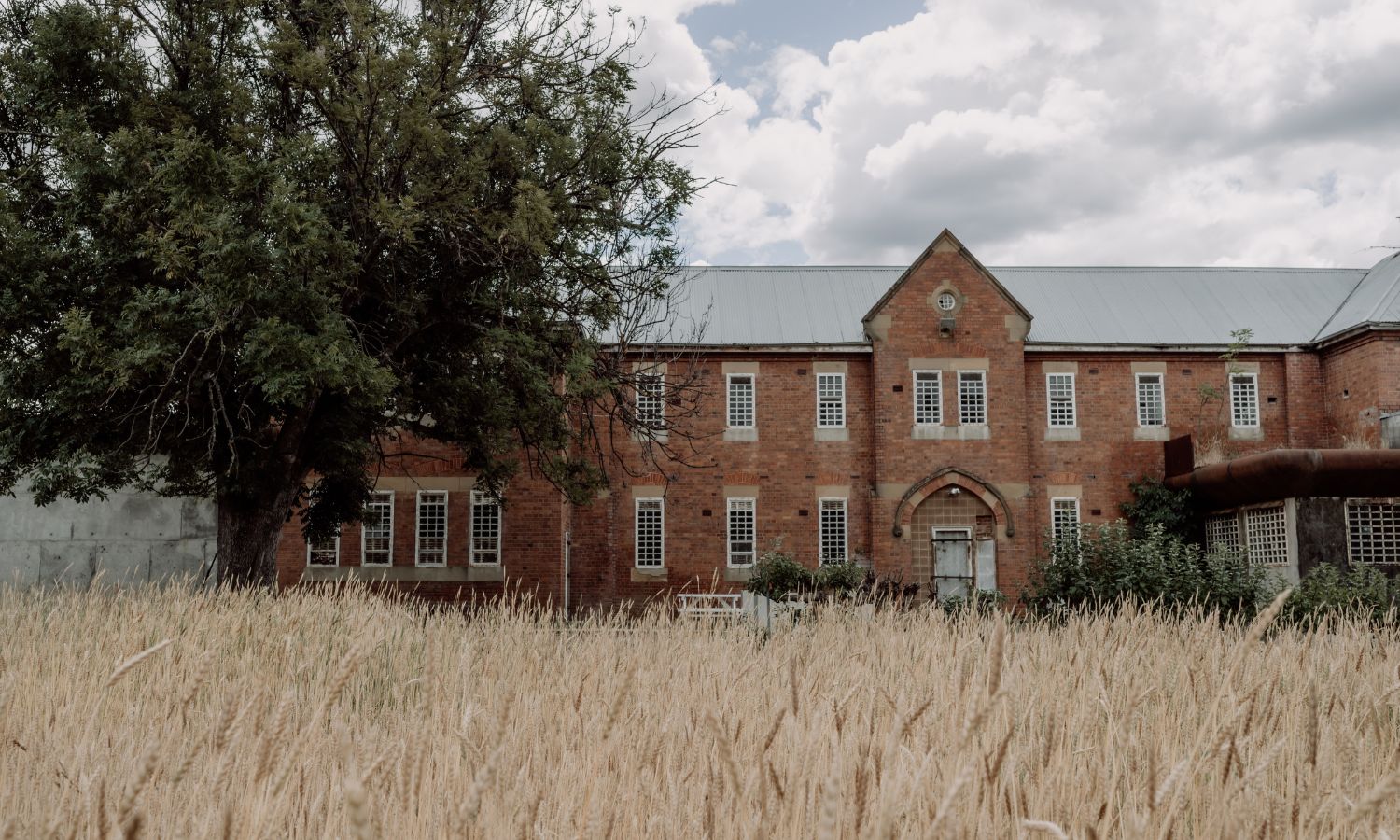 The Agrarian Kitchen