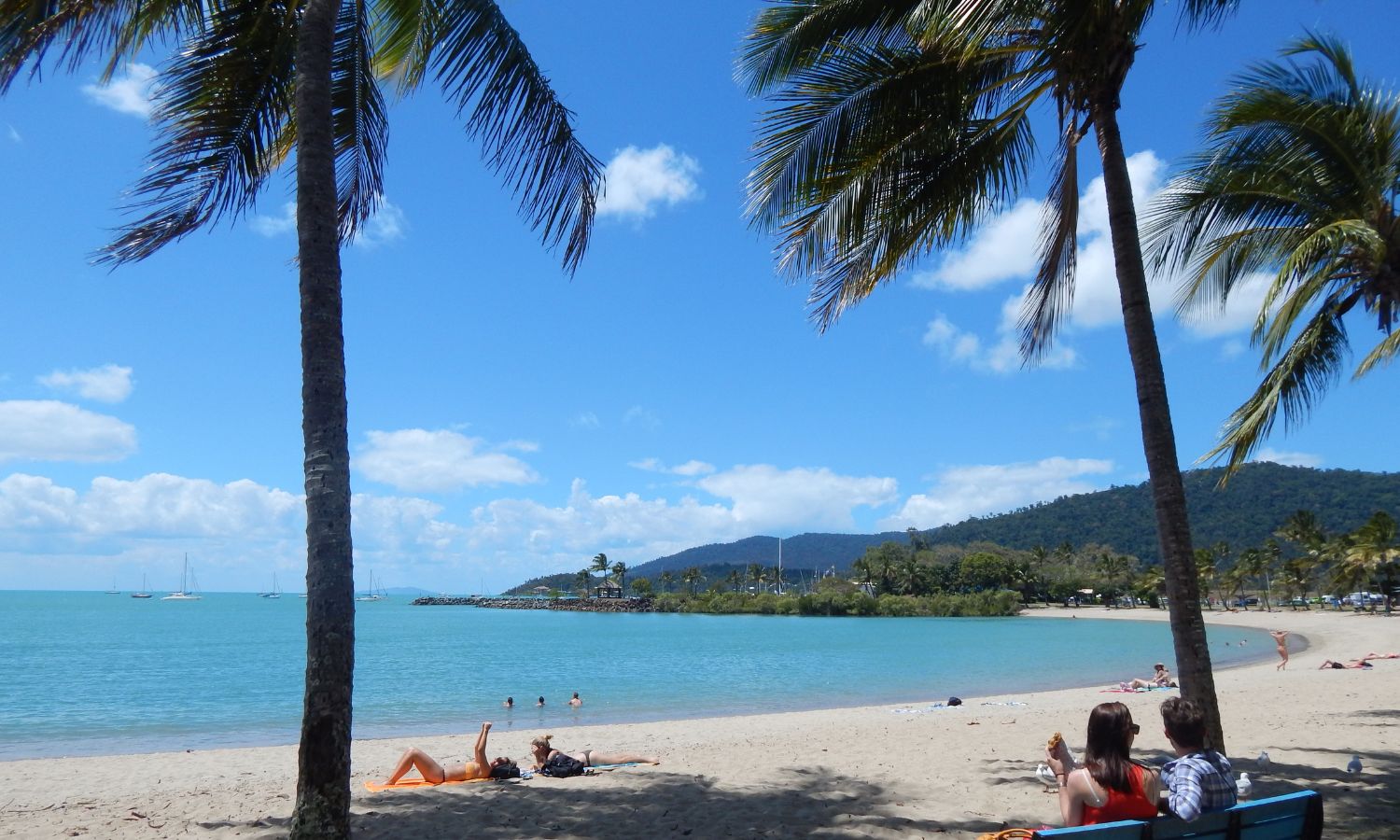 an image of one of the best beaches in queensland