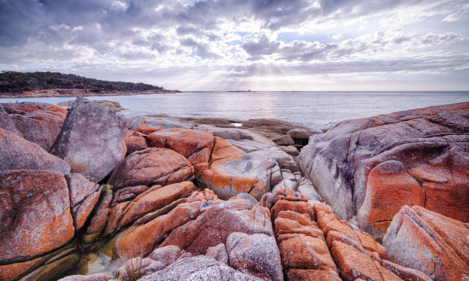 An image of one of the best beaches in tasmania