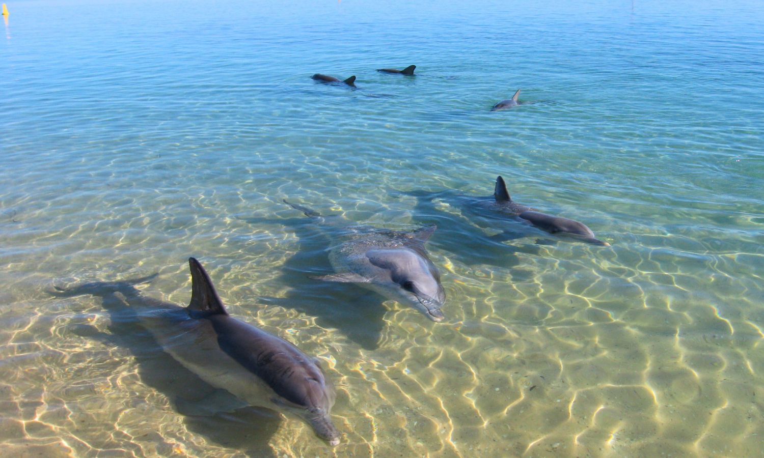 an image of one of the best beaches in western australia