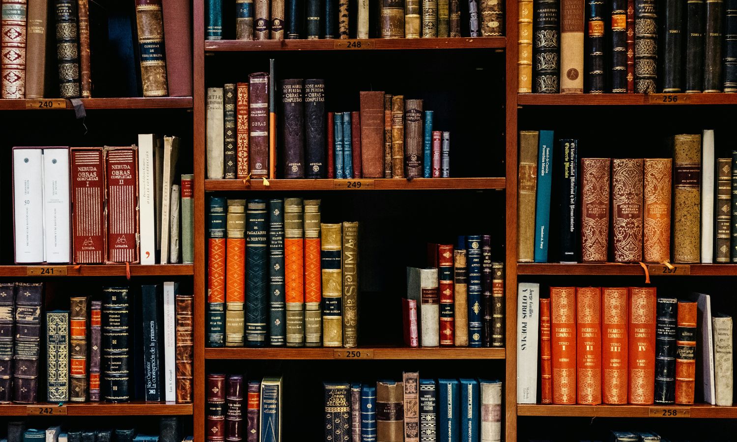 Bookshelf wealth