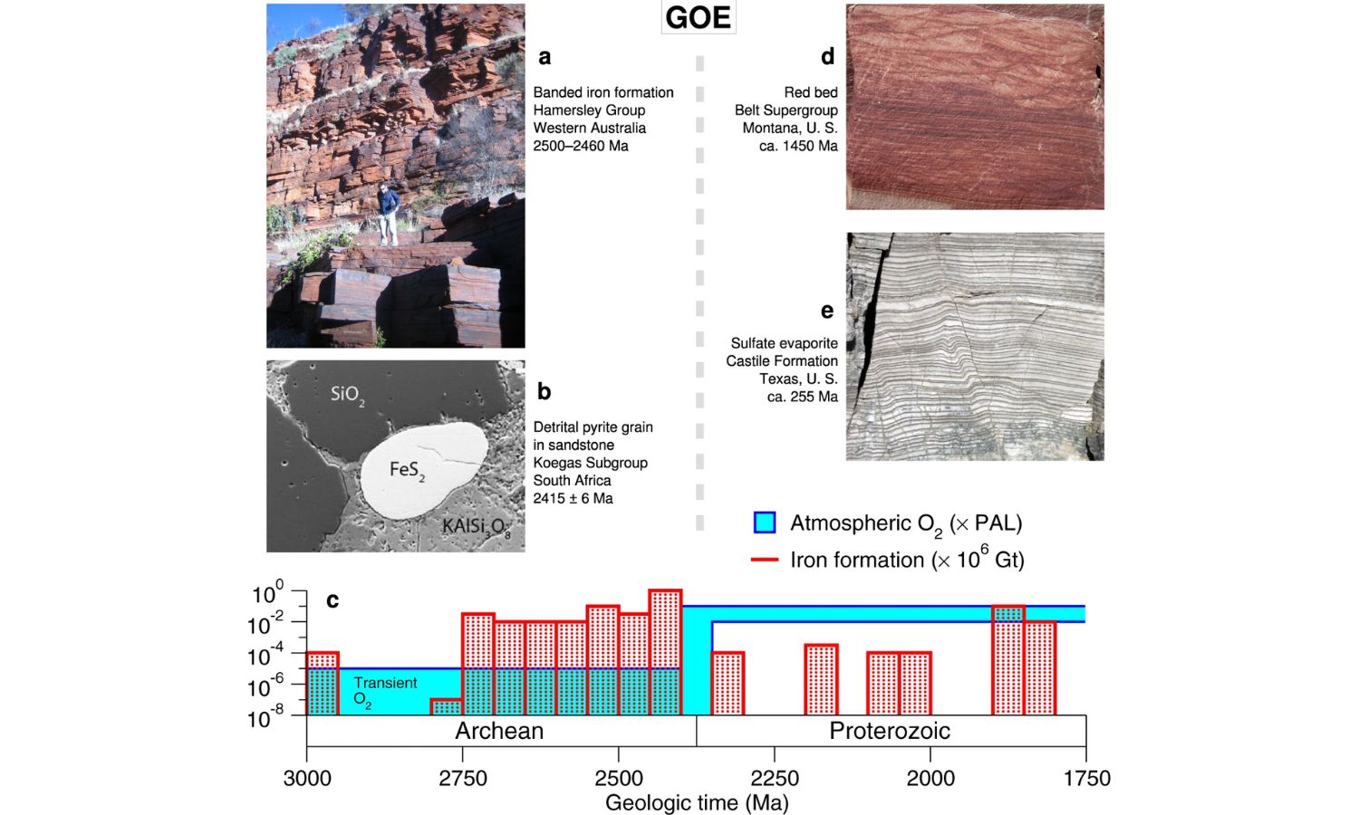 An image showing the origins and beinning of life on earth