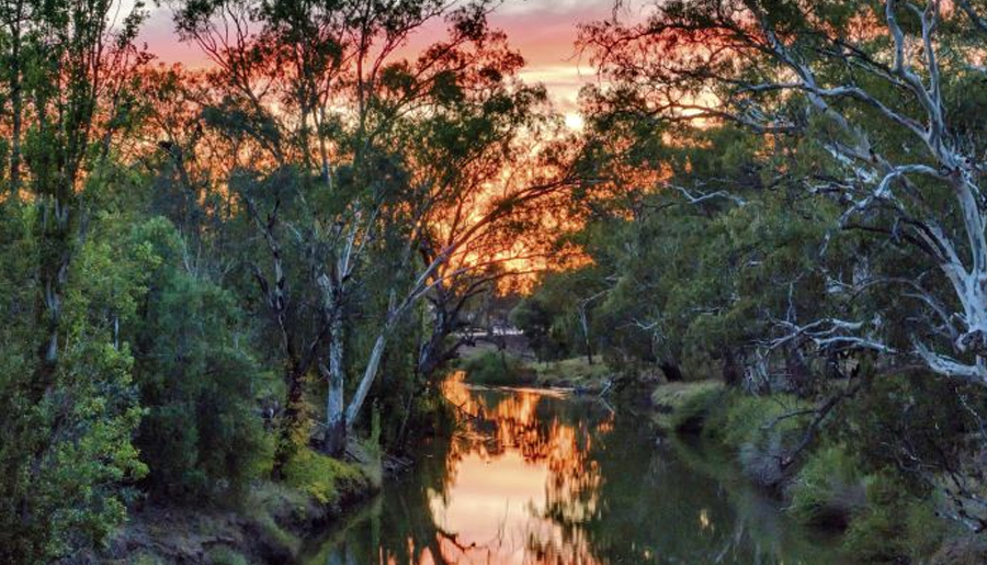 Condobolin, NSW