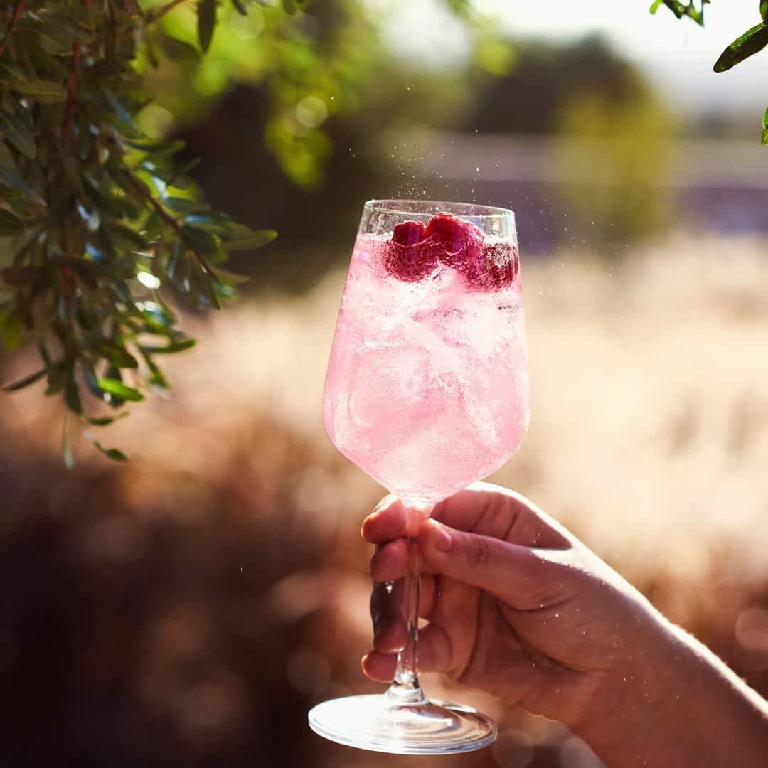 fever tree g&t festival brisbane