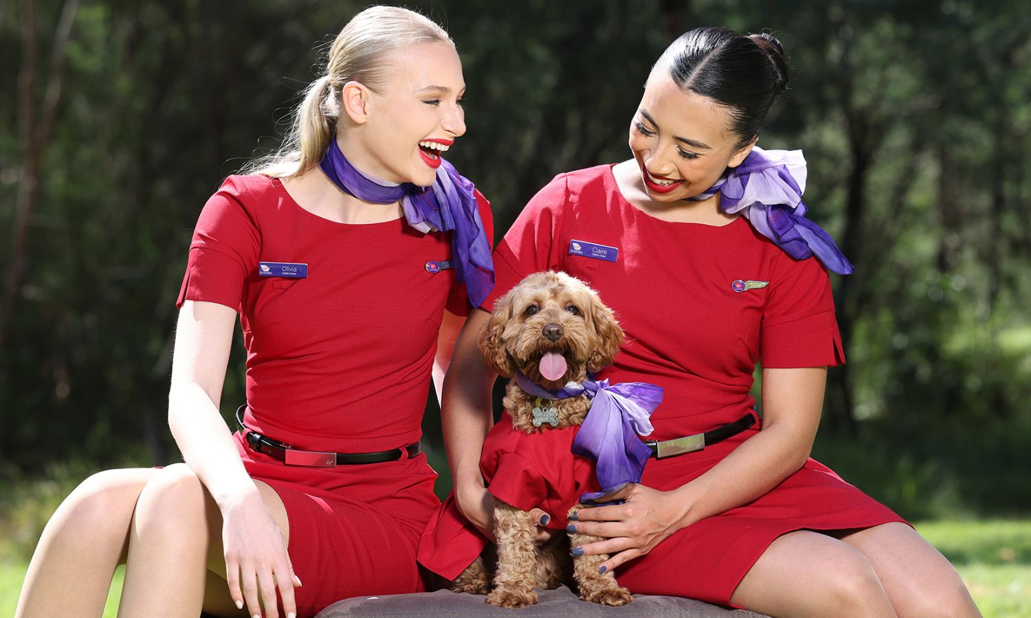 virgin australia pets travel