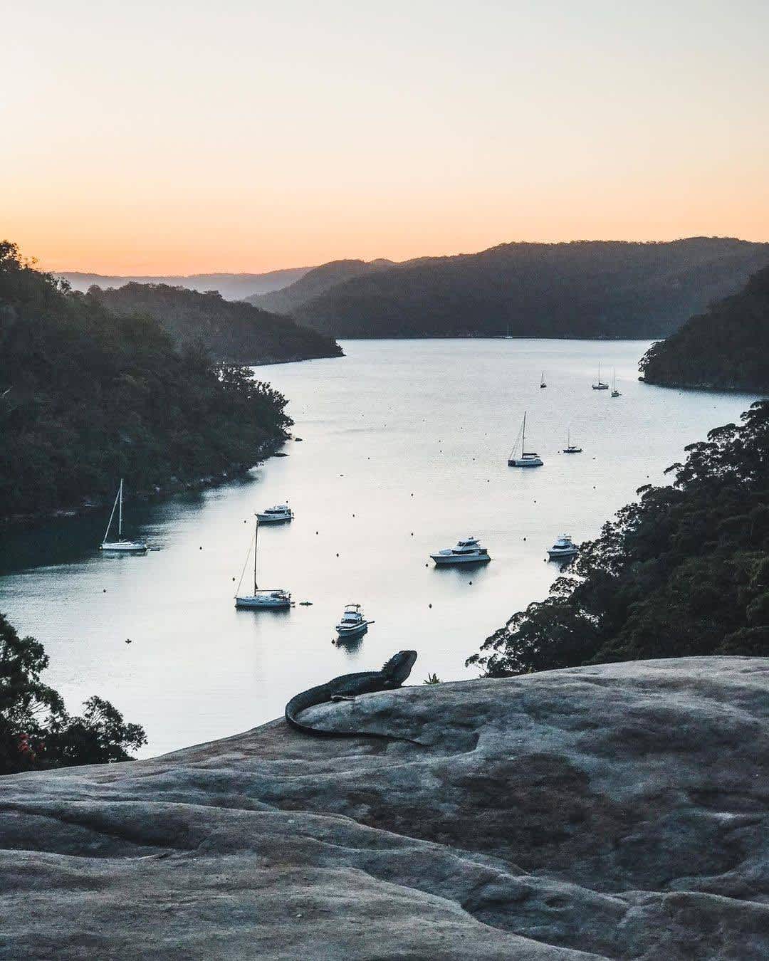 where to watch the sunrise in sydney