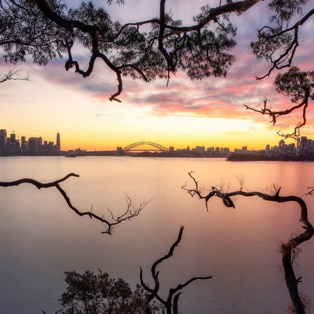 where to watch the sunrise in sydney