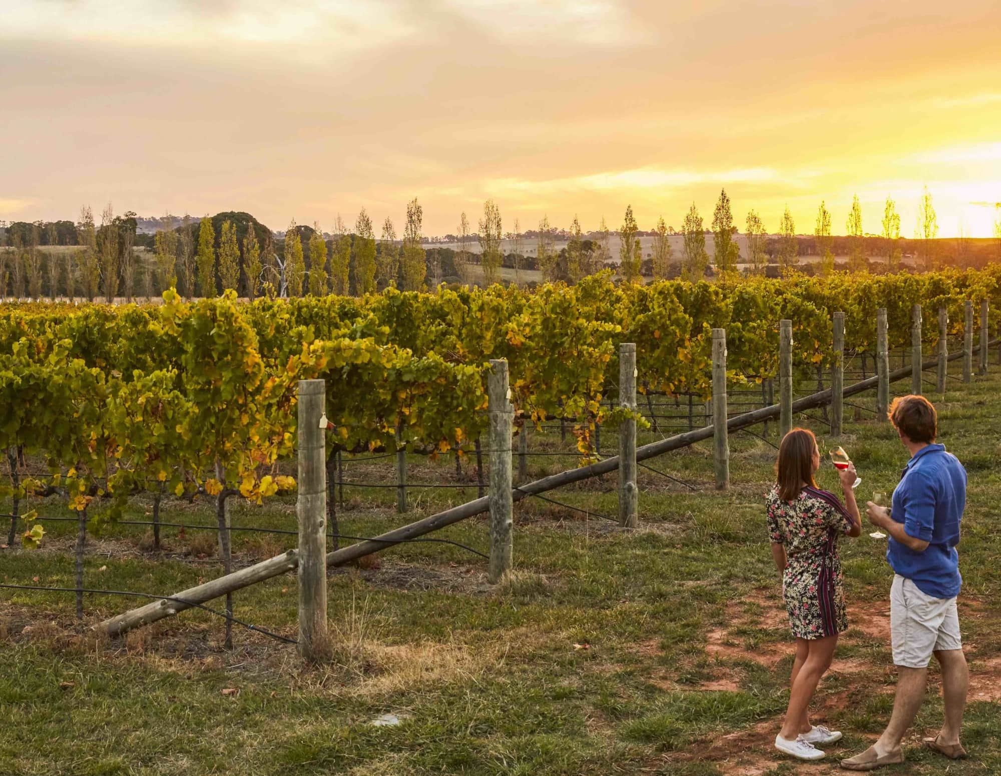 Couple in vineyard