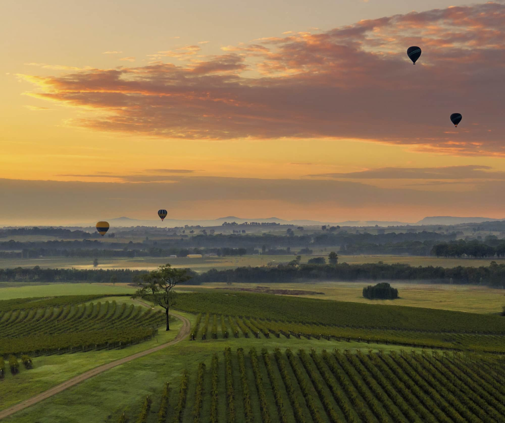 hot air balloon in valley