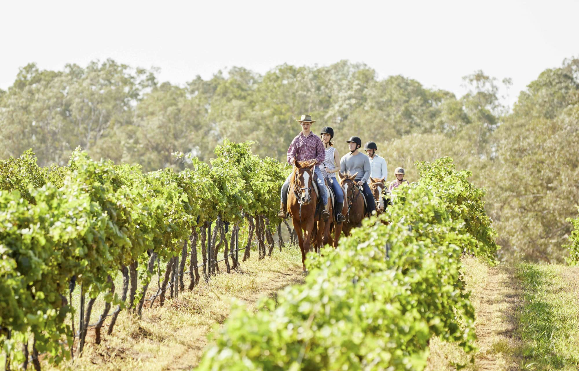 Group enjoying a guided horseback tour 