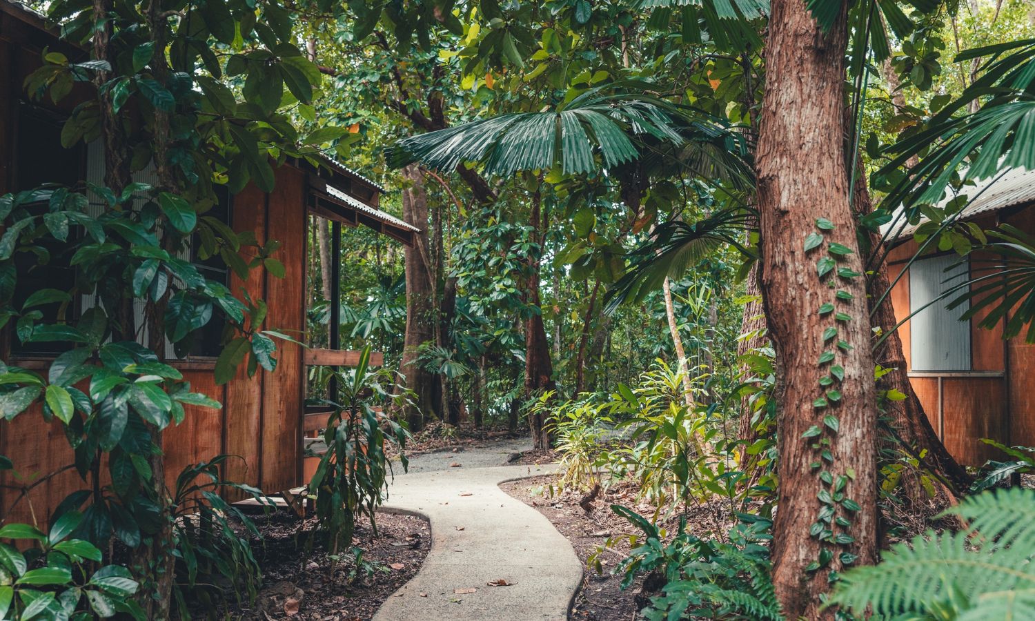 Cape Trib Beach House