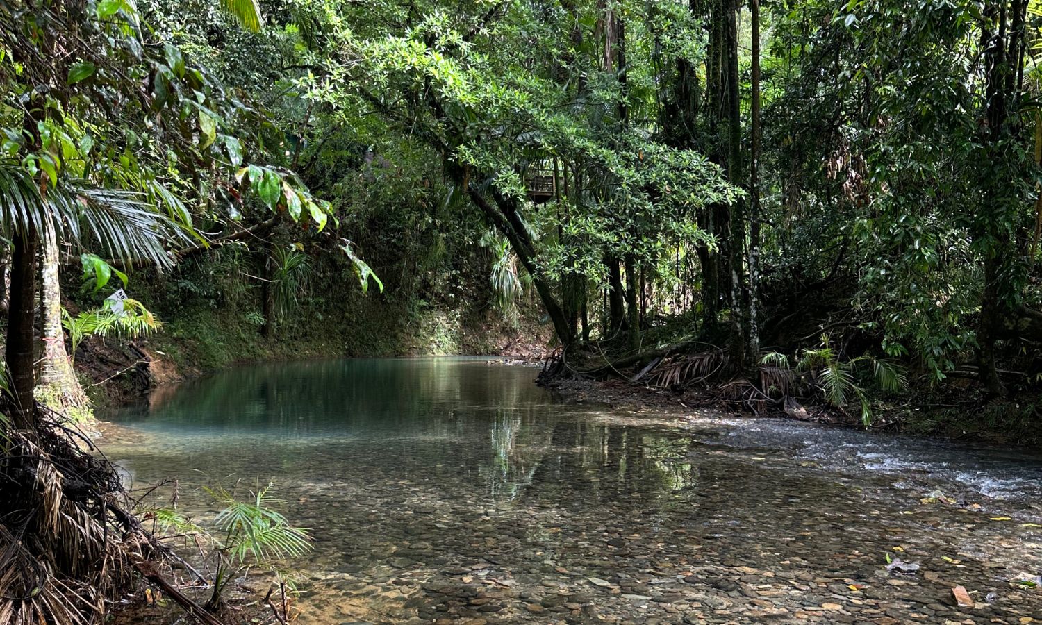 Daintree Heritage Lodge