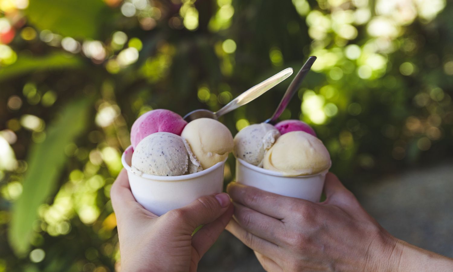 Daintree Ice Cream