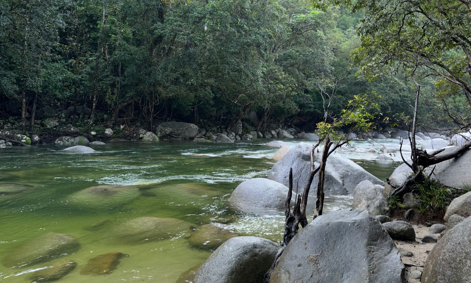 Mossman Gorge