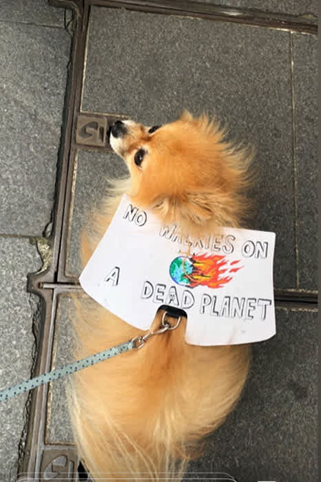 climate rally sign