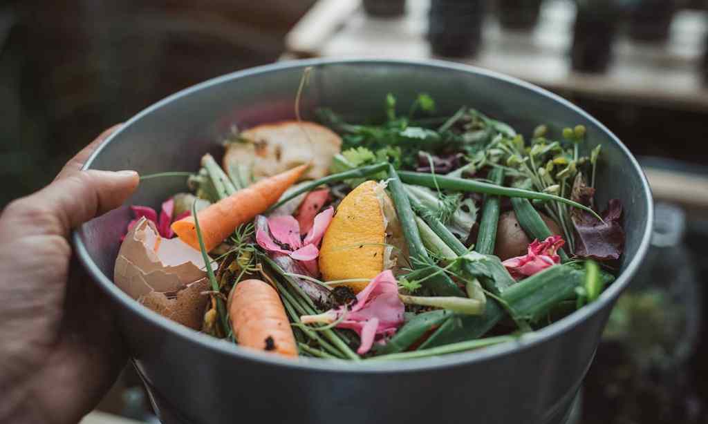 composting-guide