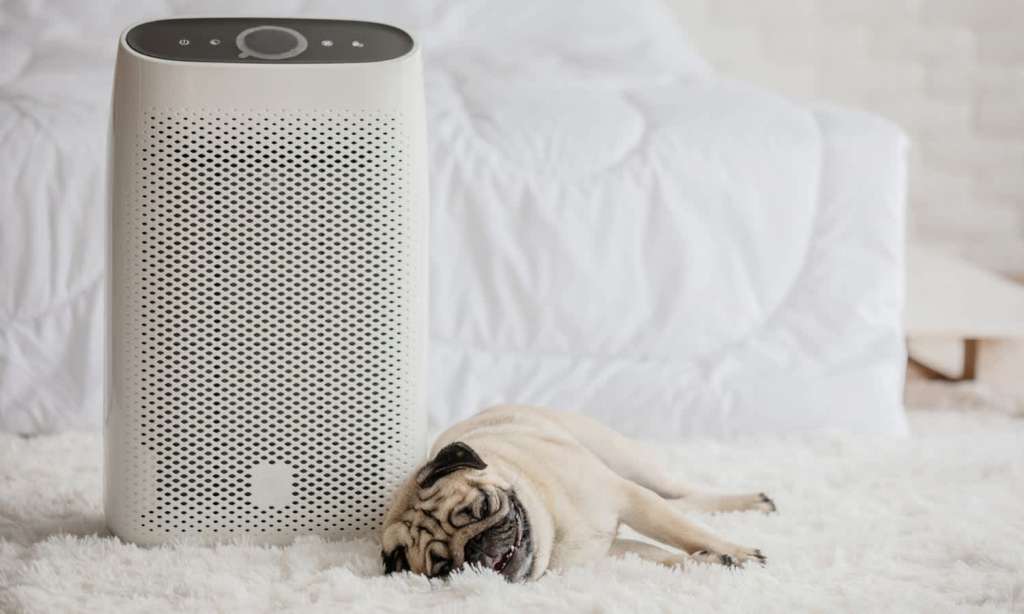 Air Purifier