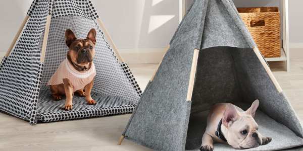 dog-teepee-big-w