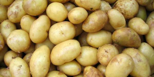 Potatoes