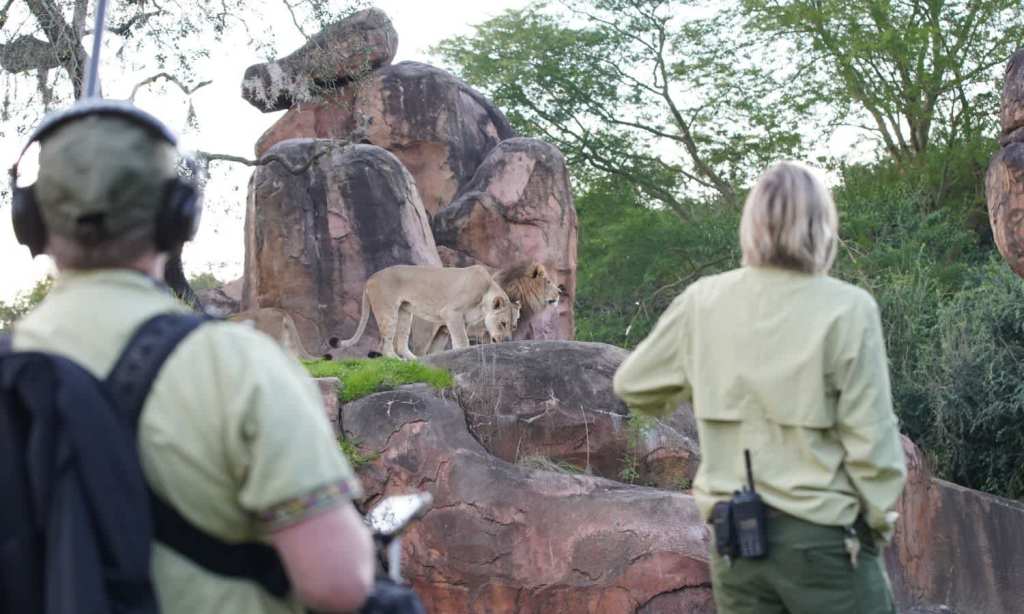 Disney's Animal Kingdom