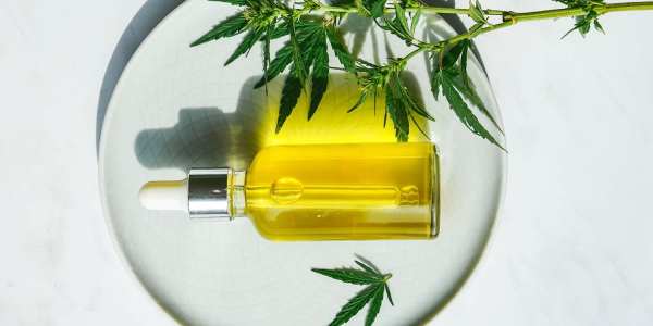 CBD Oil