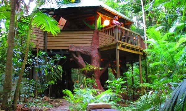 treehouse daintree