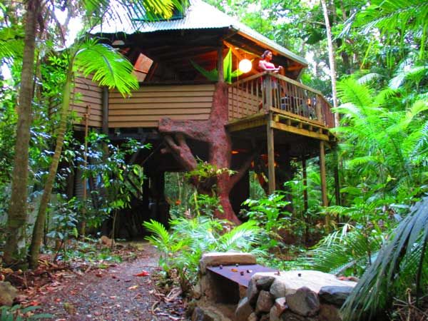 treehouse daintree