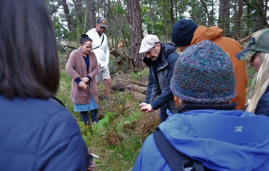 Mushroom Foraging 5