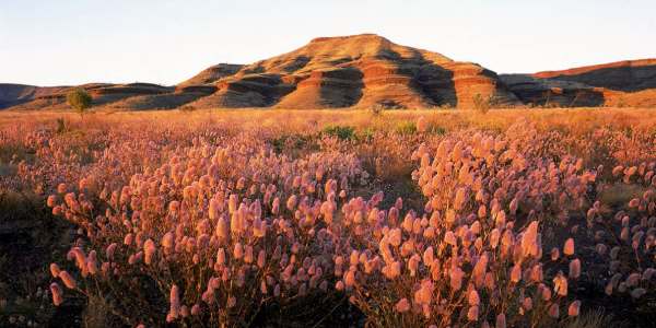 Indigenous travel