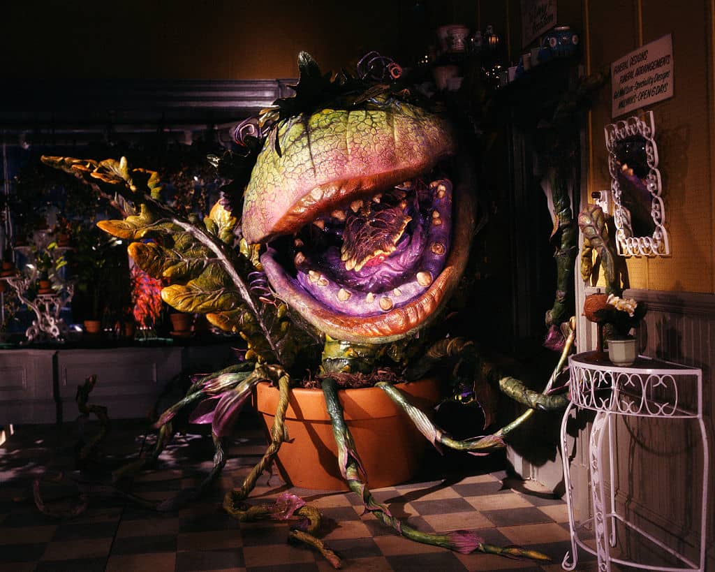 Audrey II little shop of horrors