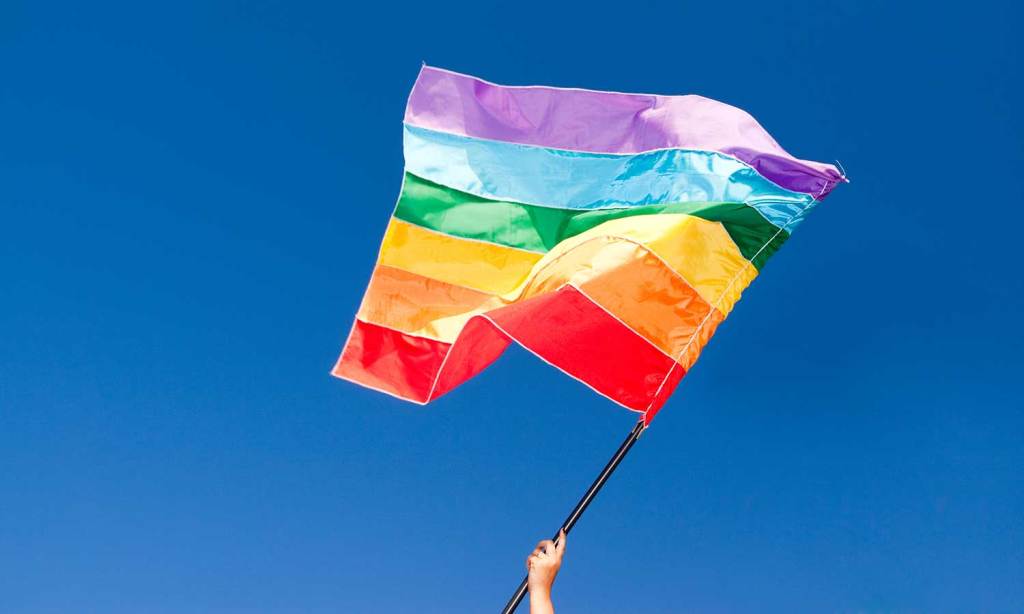 lgbtqia-flag