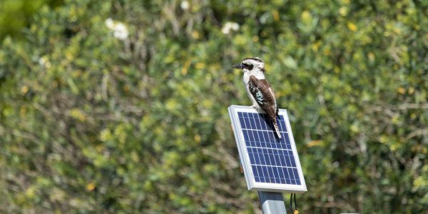 renewable energy australia