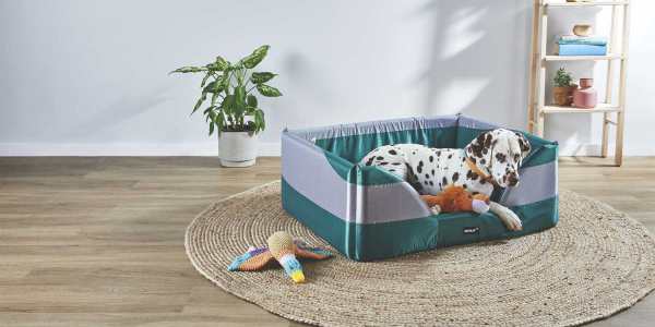 Aldi-pet-bed