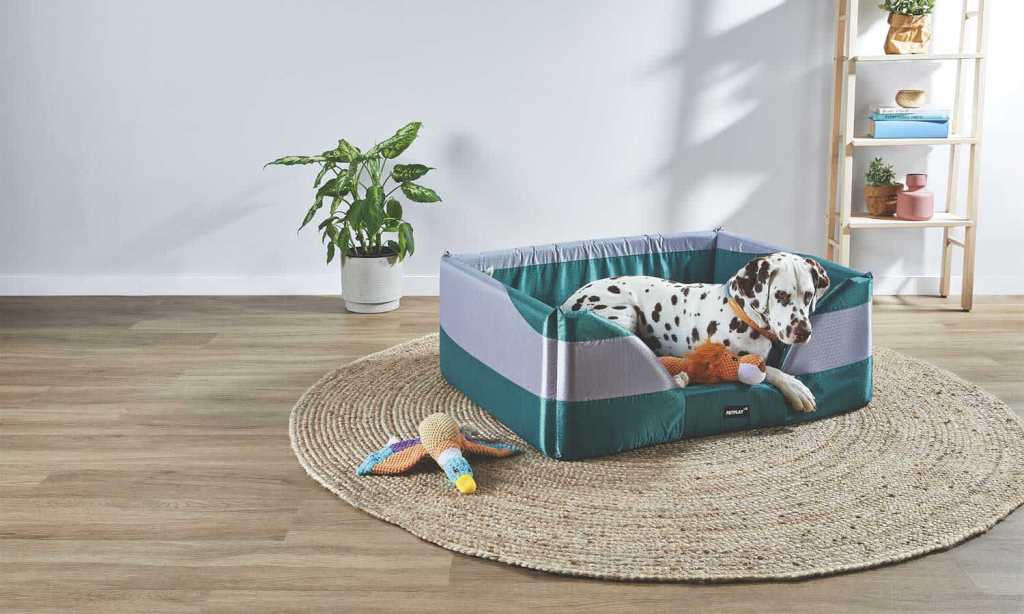 Aldi-pet-bed