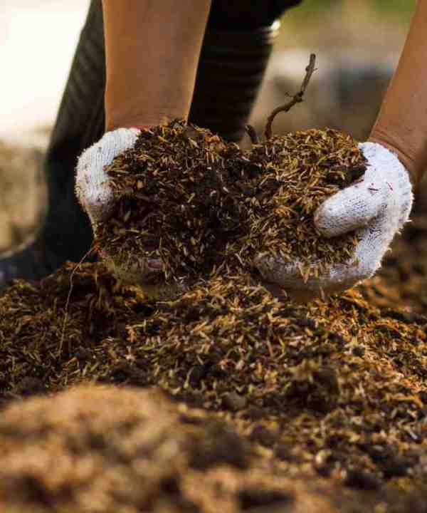 Mixing compost with hand