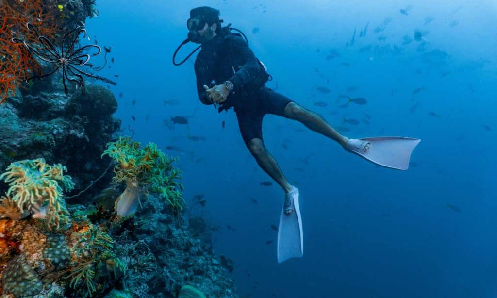 Flights to Cairns Great Barrier Reef