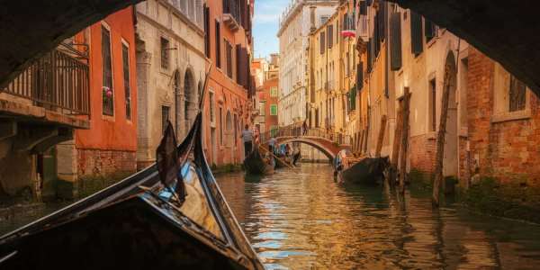 Venice entry fee