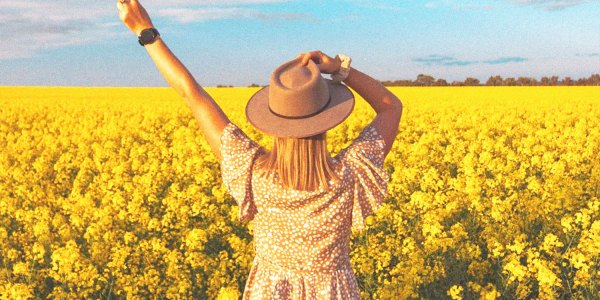 canola selfies