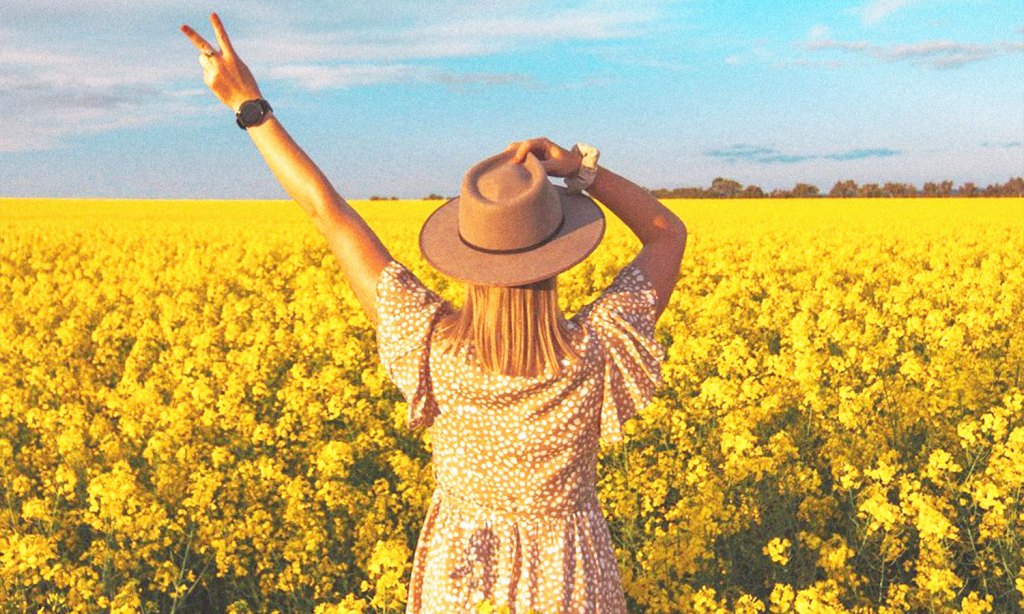 canola selfies