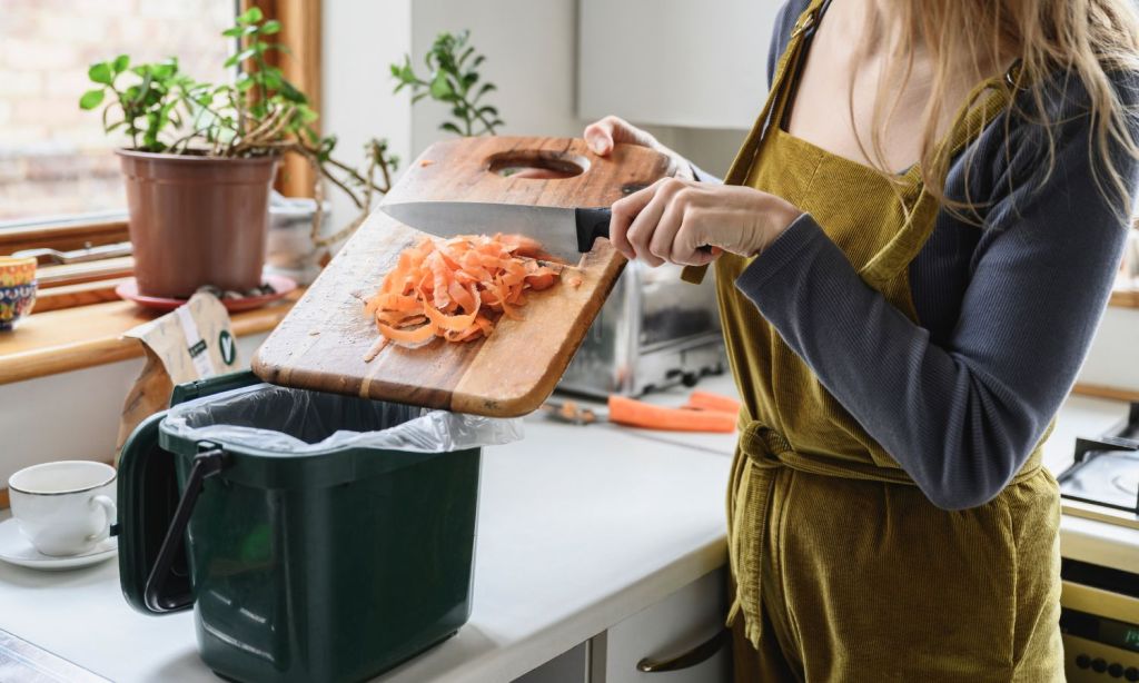 compost bin - things to do