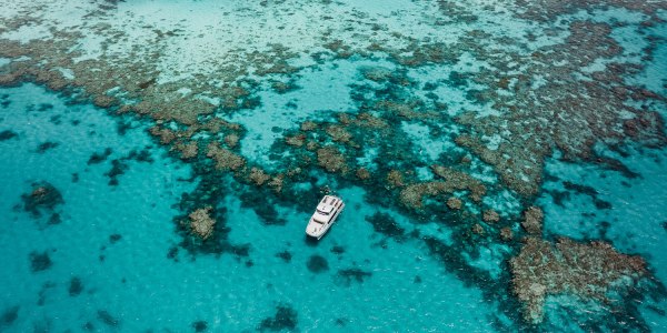 is the great barrier reef dead