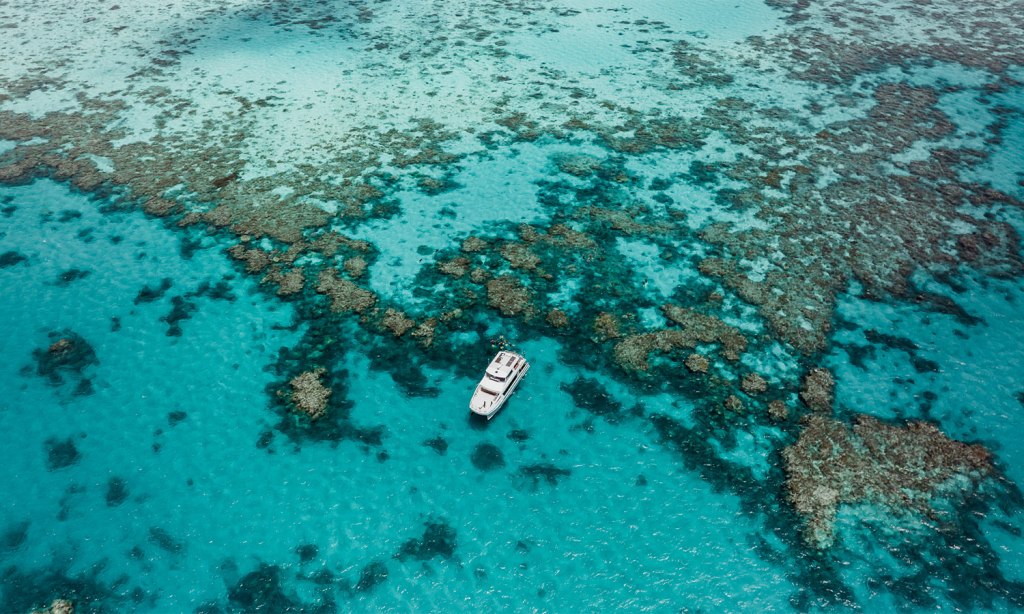 is the great barrier reef dead