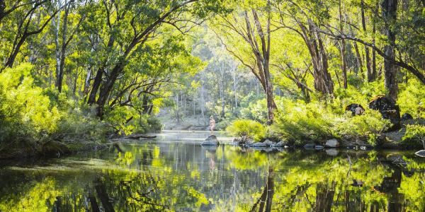 dwellingup Accommodation