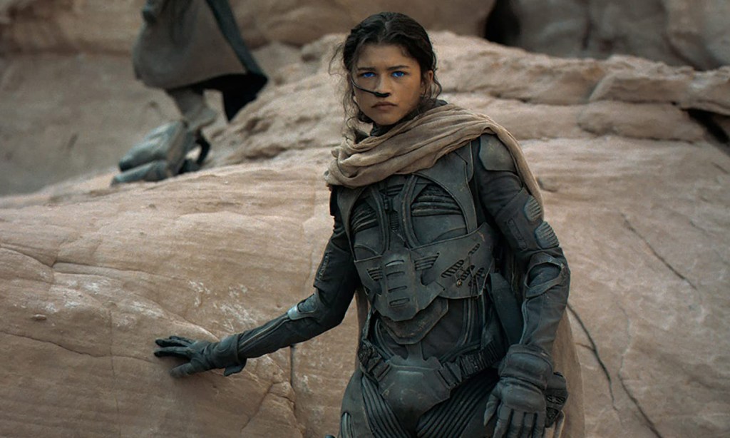 Zendaya as Chani in Dune, one of the best sci-fi movies on Netflix.