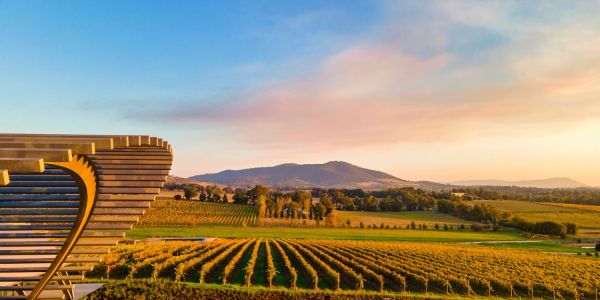 best wineries yarra valley