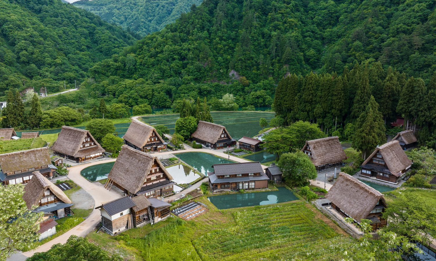 Suganuma Japan