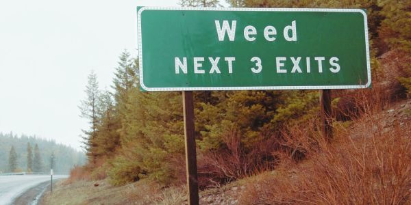 A sign showing the exit for Weed to illustrate and article about the legalise cannabis australia movement.