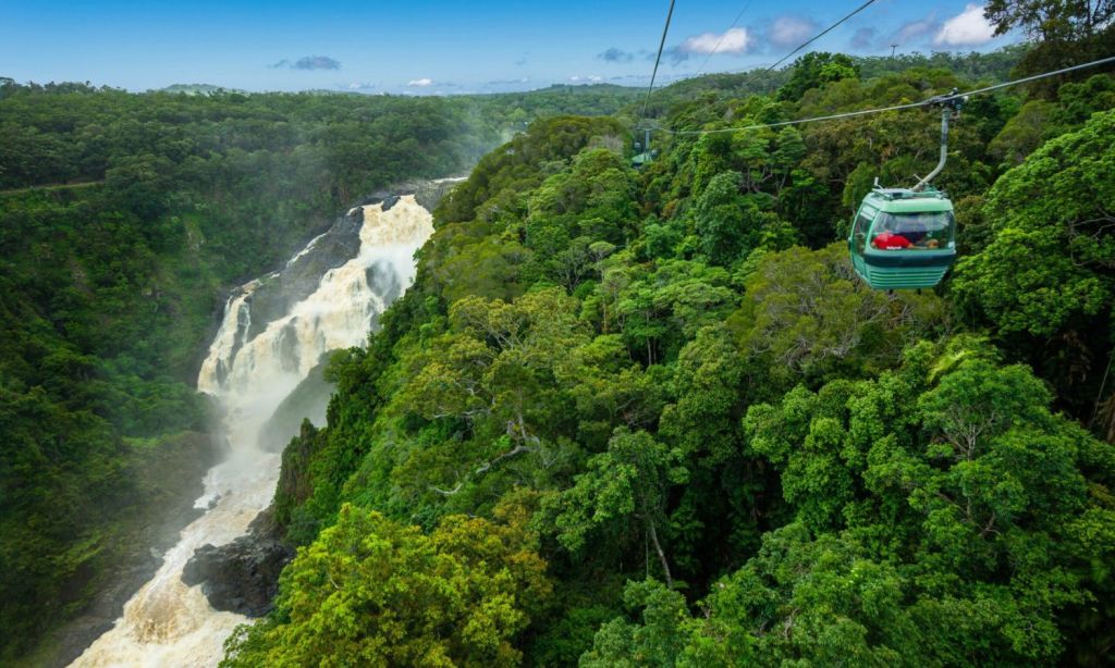 Skyrail Rainforest Cableway